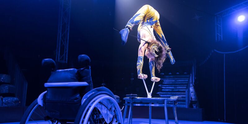“Returning to the circus ring 14 years after my accident”